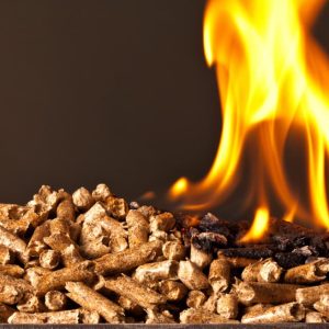 Bán buôn sản phẩm khác từ gỗ, viên nén gỗ, viên nén mùn cưa, viên nén mùn khối
